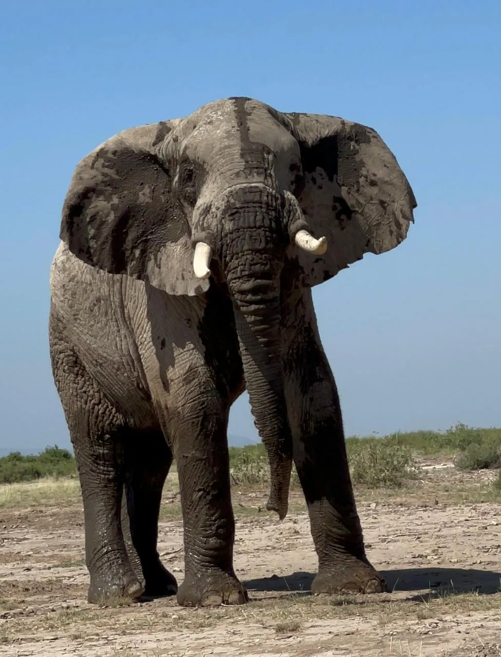 9 Days Africa Safari Vacation Kenya