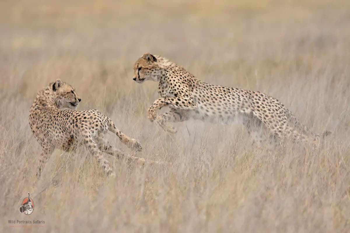7 Days Kenya Wildlife Safari from Mumbai | Masai Mara, Amboseli and Lake Naivasha