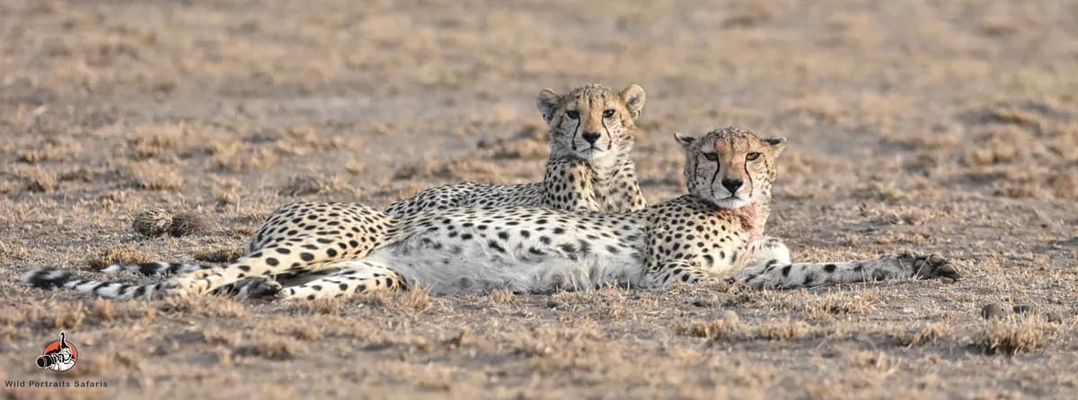 10 Days Enchanting Kenya and Tanzania Adventure Safari