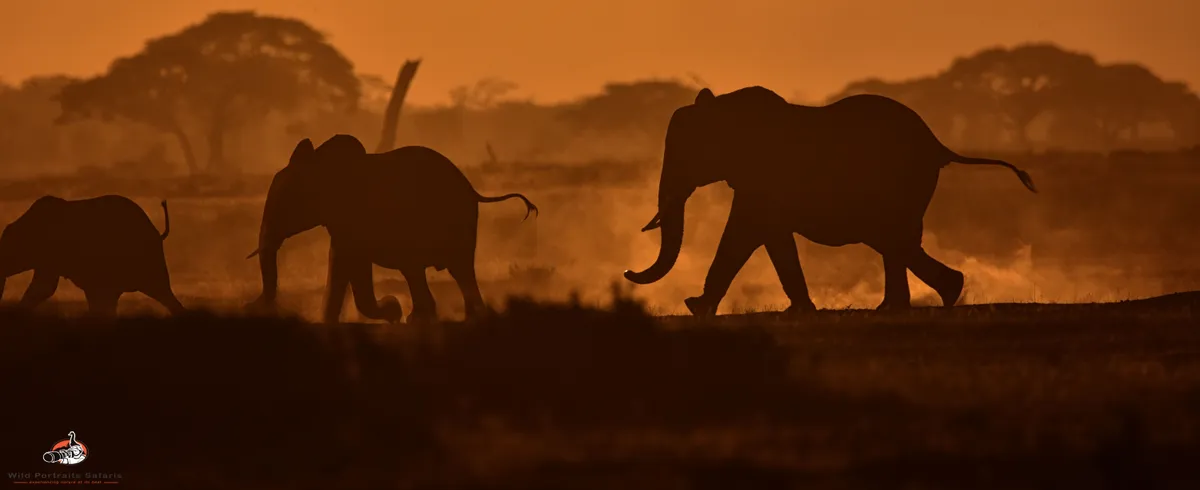 4 Days Explore Amboseli Kenya Safari