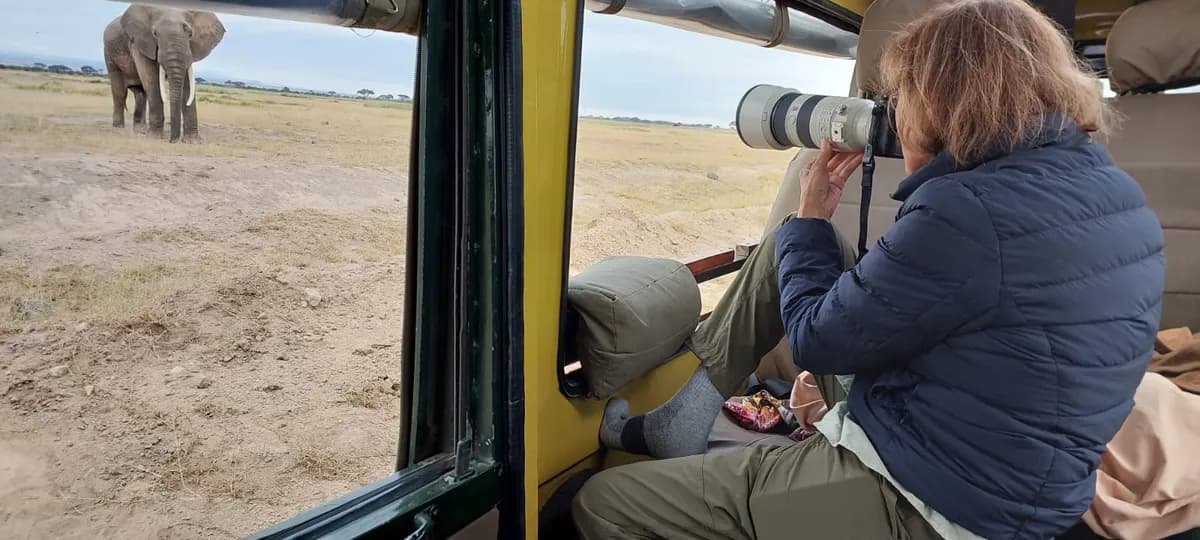 Africa Safari Game Drive Experience | Unforgettable Wildlife Adventures