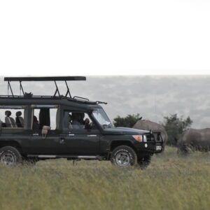 Game drives at the on Safari 6 Days Premier Kenya Safari vacation