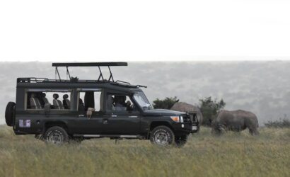 Game drives at the on Safari 6 Days Premier Kenya Safari vacation