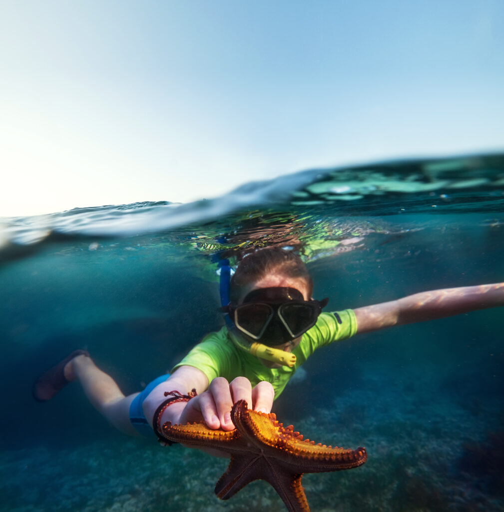 Snorkelling at Zanzibar 
 about 10 Fantastic things to do in Zanzibar 2024