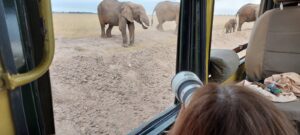 elephant photography at Amboseli on Kenya wildlife photo safari